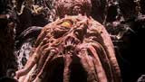 Doctor Who - The Stolen Earth