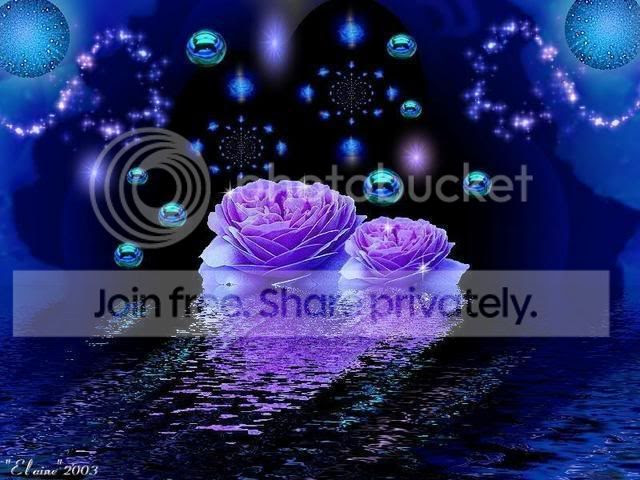 rosas Pictures, Images and Photos