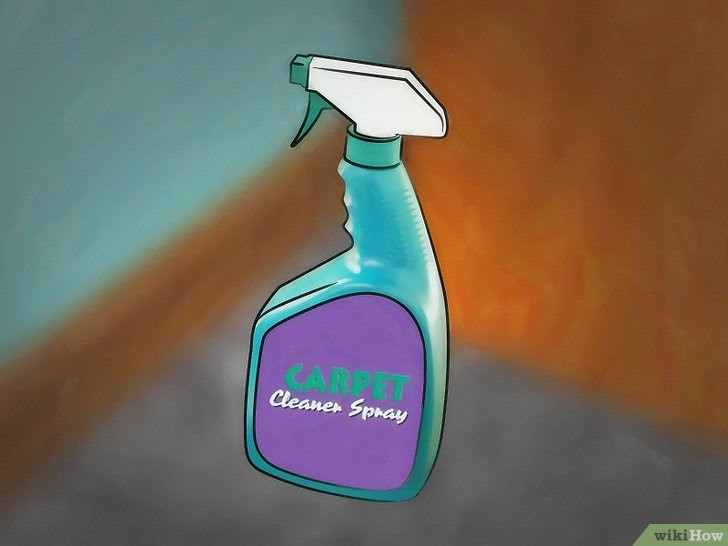 Clean Your Carpets Step 10 Version 3.jpg