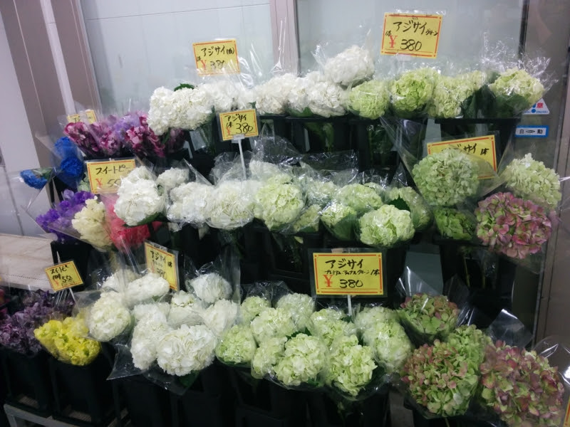 吉田研園芸部活動記 大阪総合園芸センター行ってみた Yoshida Lab S Blog