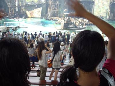 Photo_3