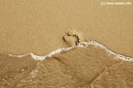 foot-print.jpg