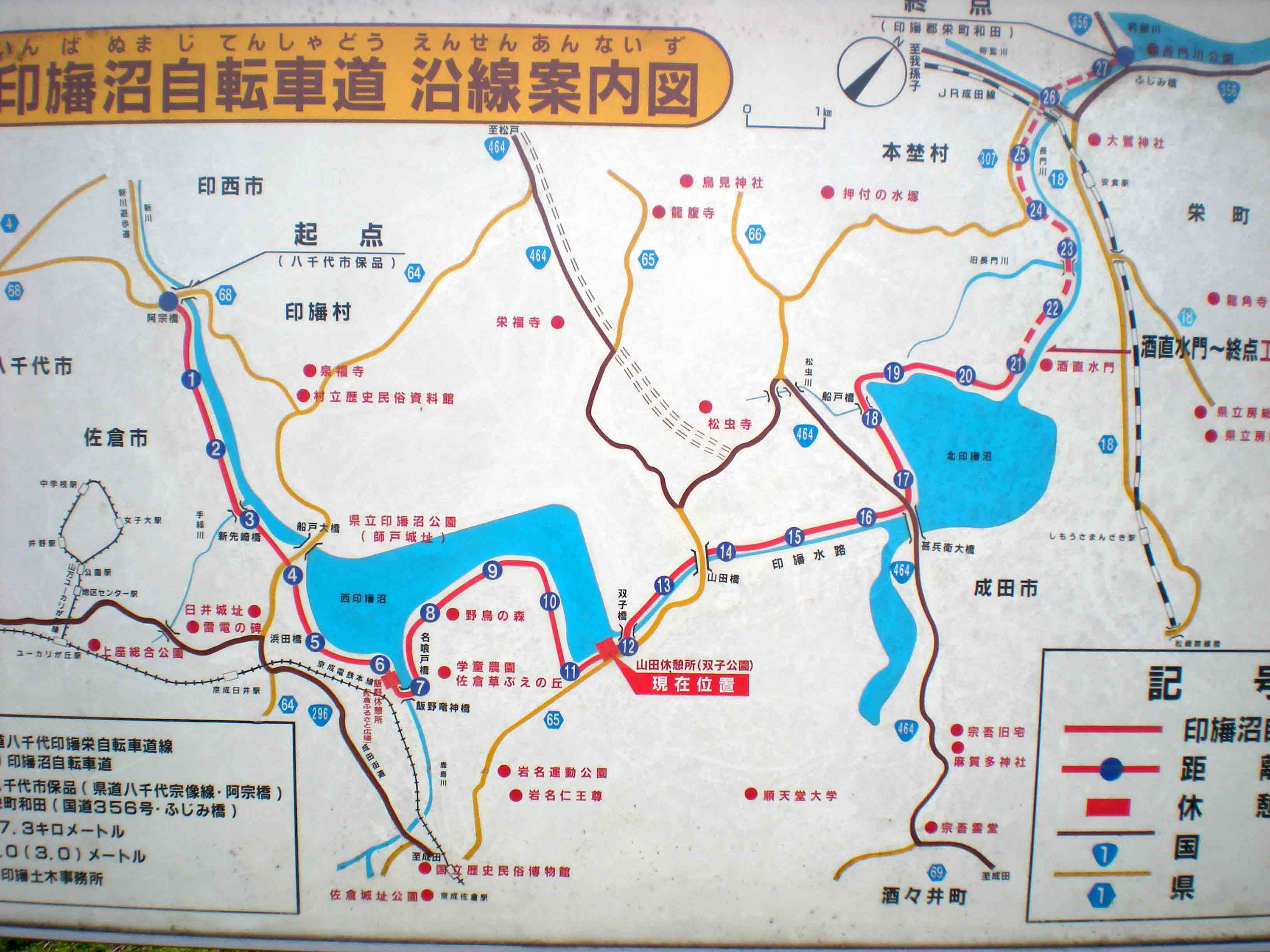 サイクリングロードおすすめ15選 関東 東京周辺で気軽に楽しもう