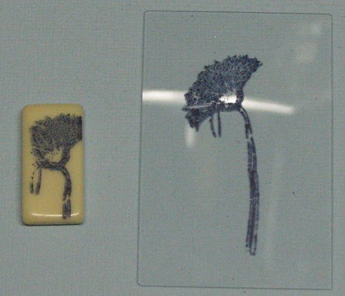 Pigment Ink 003