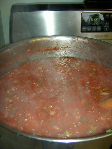 Homegrown/Homemade Salsa