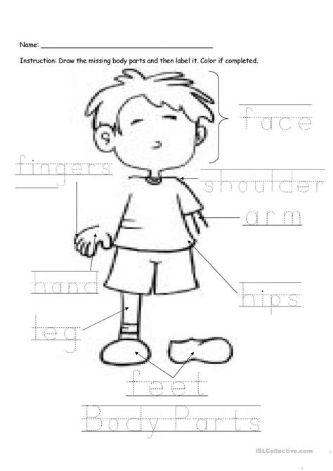  printable body parts worksheet
