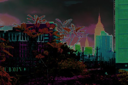 exotic mix pink style.jpg