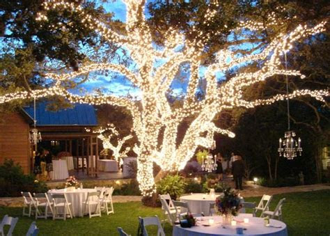 Gardening is a fun hobby, and if you're successful, you'll have your own beautiful flowers and n. IDEAS FOR WEDDING RECEPTION DECORATING WITH LIGHTS