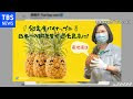 √画像をダウンロード パイナップル 産地 日本 200509