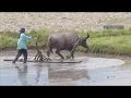 Intelligent Innovation Farming Machine