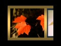 http://www.youtube.com/watch?v=6aElMeUVCvA&list=PLF5AF1097EBAEC620&feature=plcp