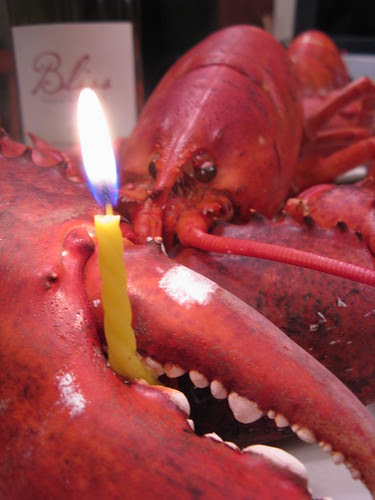 #42 - Birthday Lobster