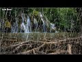 [NO ADS] Rain Sounds for Sleeping, Studying, Relaxing, insomnia | Raining