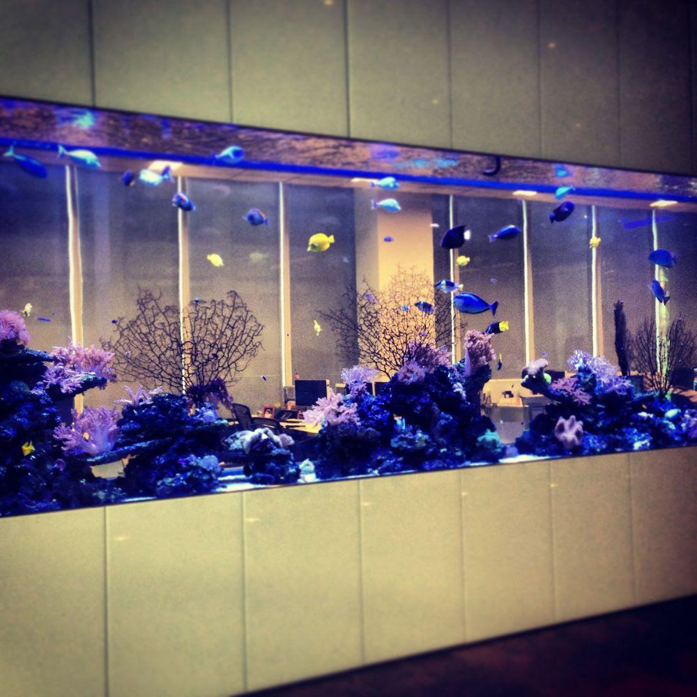 fish tank jobs - Tractor Trailer Graffiti Artist For Hire ...
