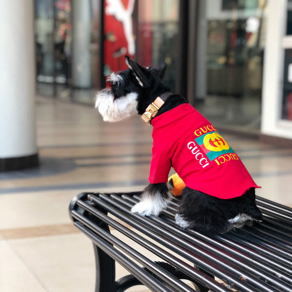 グッチドッグウェア 犬服 Gucci ｔシャツ ペア犬服 パーカー ブランドコピーペット服 新品 激安