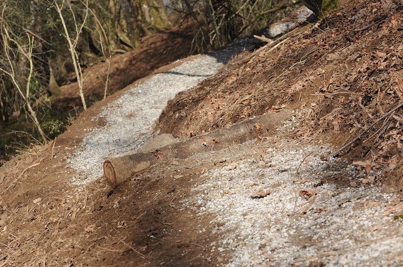 The Big Dig at Gateway Green-18.jpg