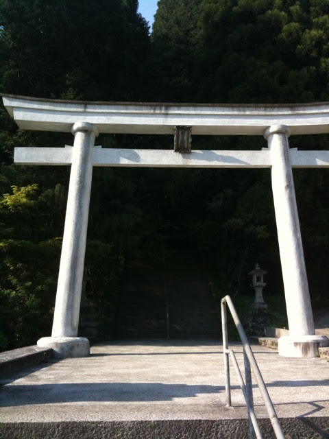 photo:01