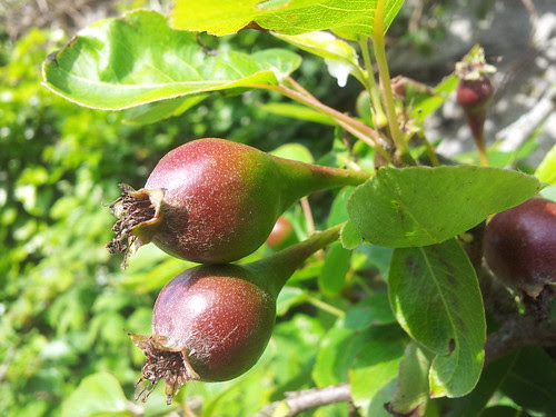 20130611_181815.jpg