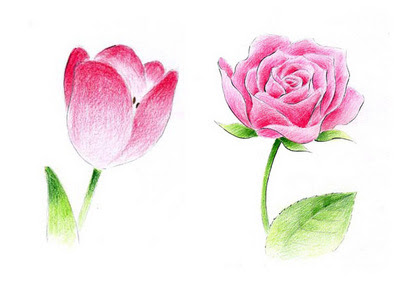 手描きパース描きます デザインオフィスアングル 色鉛筆で花を描く 通信講座テキスト完成