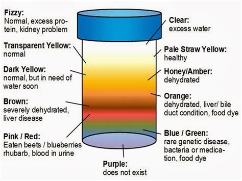  urine color can determine a persons health status