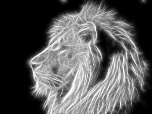 Black And White Abstract Lion Wallpaper 17210