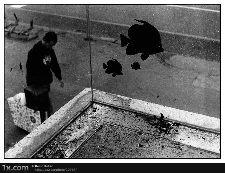 street photography favs, rg443