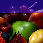 Image Captioning Tool