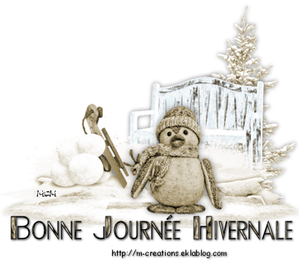 Carte Jour De Neige Mcreations