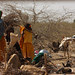 Nomadic family chores