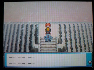 ポケモンの都市伝説で打線組んだ 軽い解説付き 都市伝説そくほー
