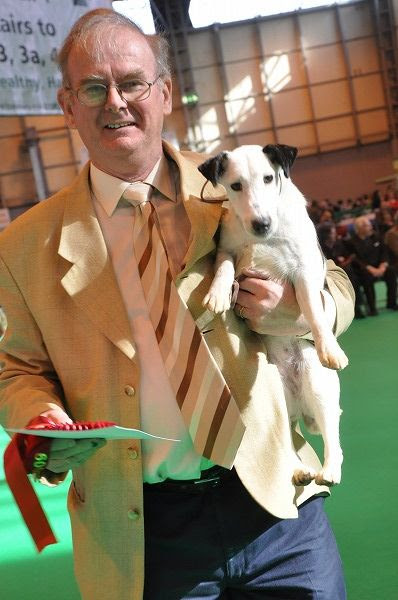 Foxterrier Smooth Crufts Clumber Up News