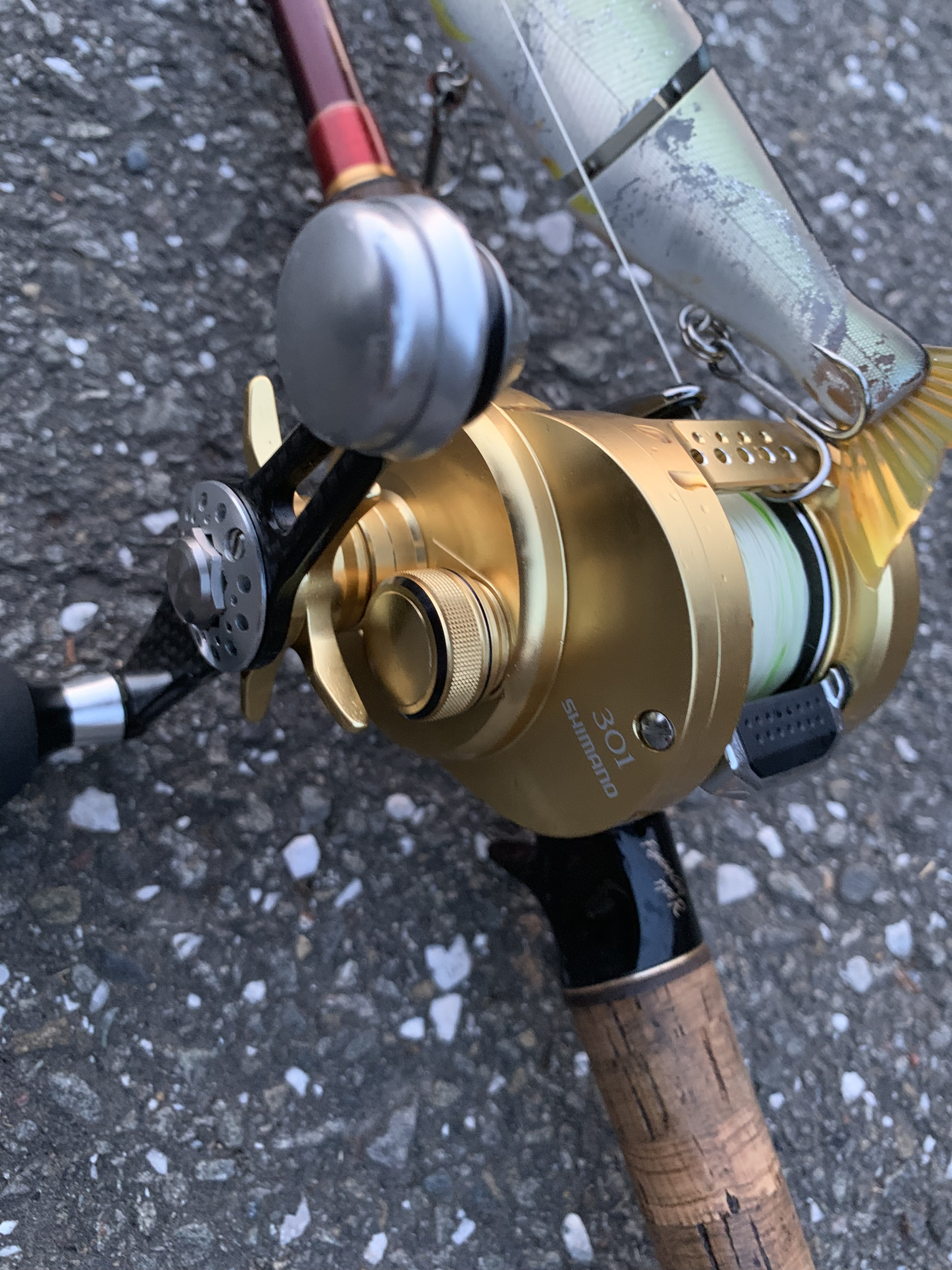 カルカッタコンクエスト301インプレ アカメブログ