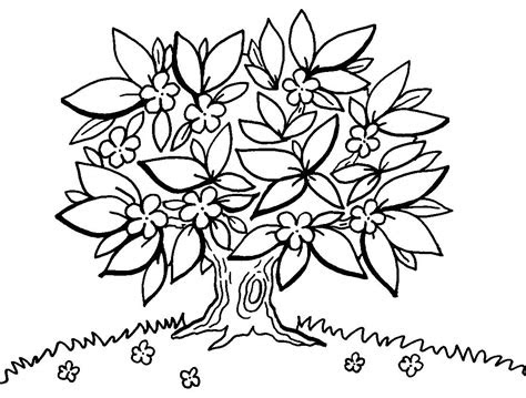 kostenlose malvorlage baeume motivationsbaum zum ausmalen