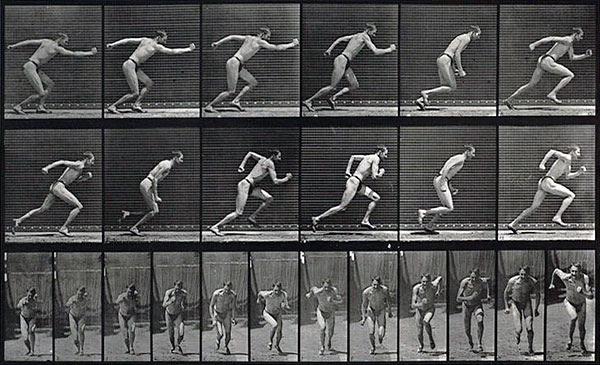 Image result for eadweard muybridge animation