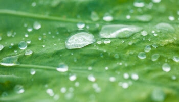 3分で読む源氏物語 あらすじ 山路の露 前編 浮舟を諦めきれない薫は