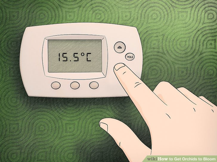 Get Orchids to Bloom Step 7 Version 2.jpg