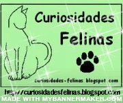 Curiosidades Felinas
