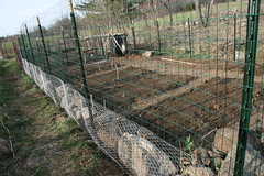 chicken wire