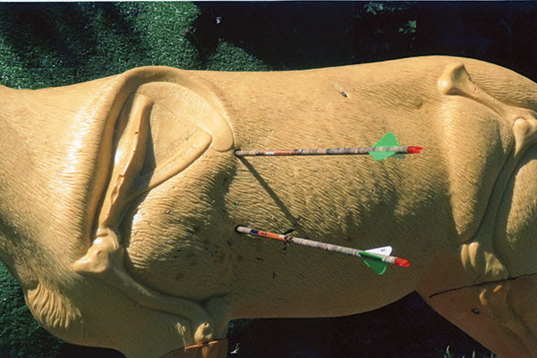 Introducing The Ultimate Anatomy Organ Buck Target North American Whitetail