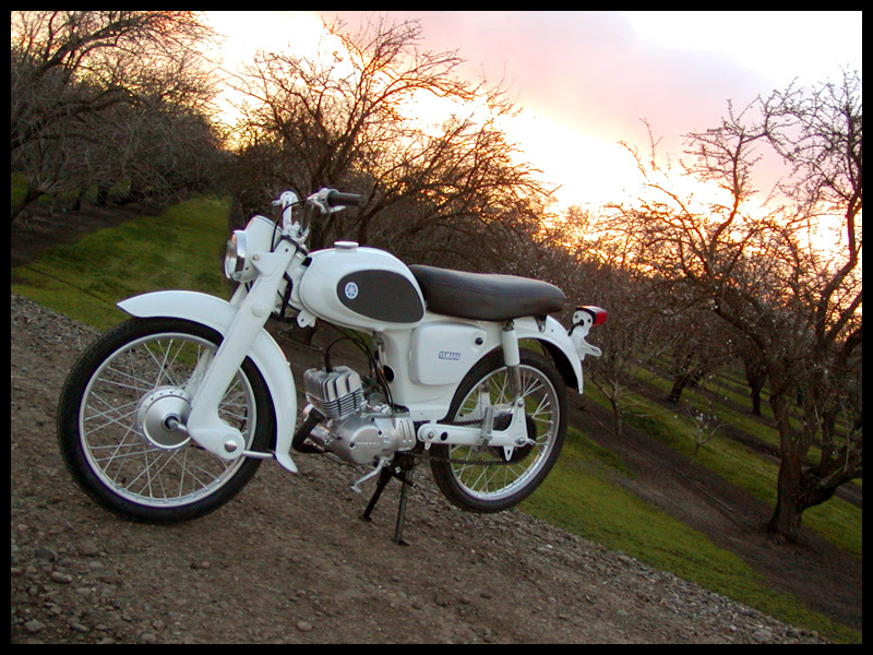 1964 Yamaha YJ1 Riverside 55