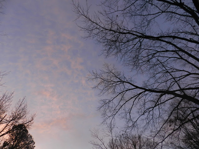 skywatchfDSCN9817