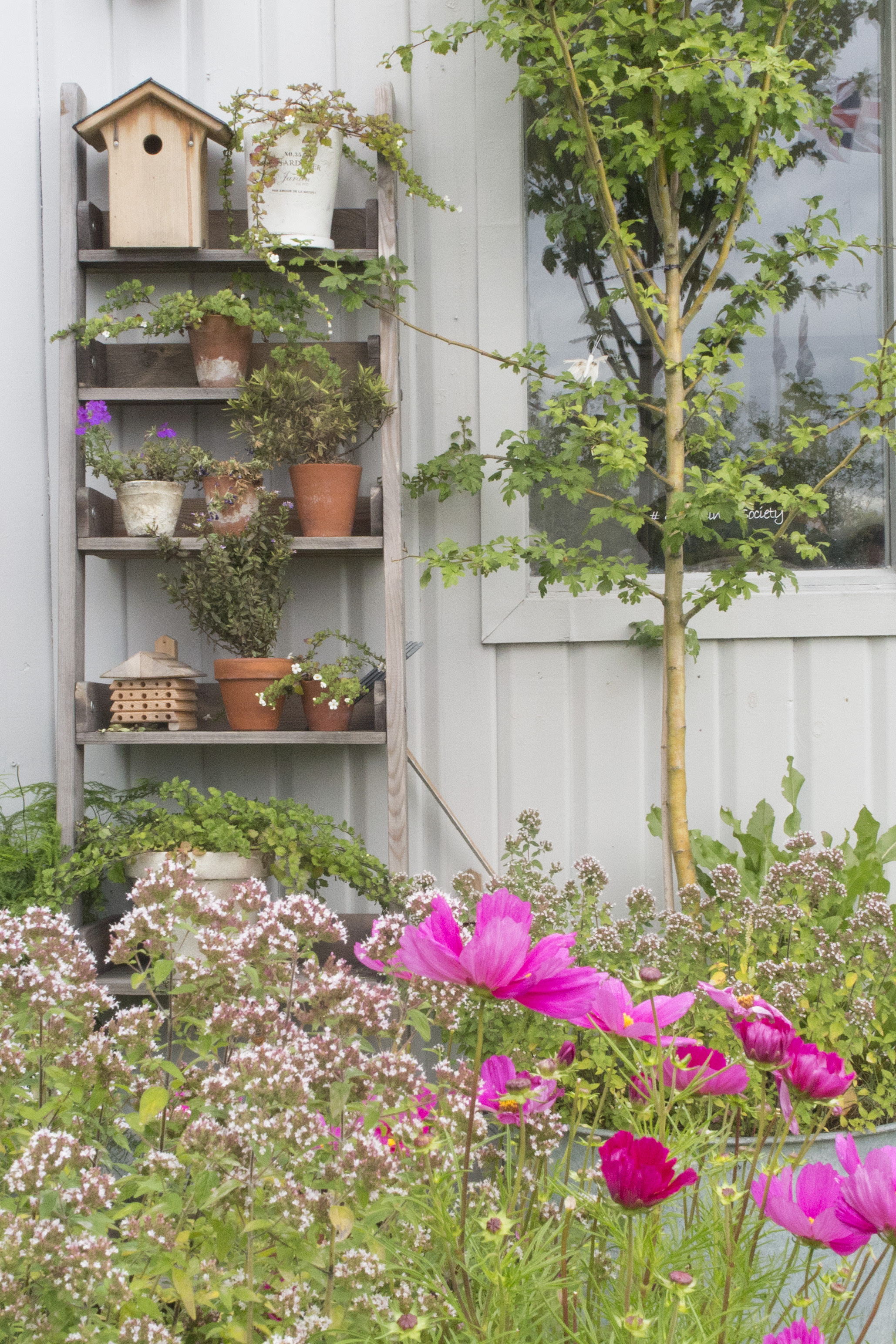 What you really need to know about creating a roof garden 