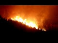 Fire In Jungle Images