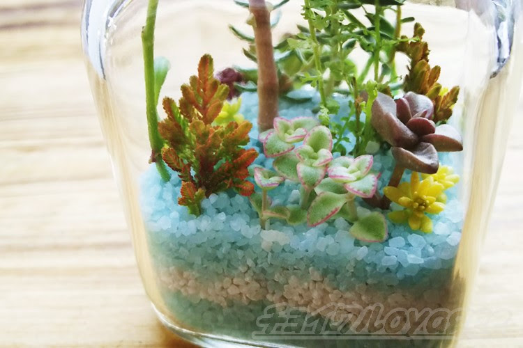 小さな角瓶を使ってテラリウムに挑戦 植え込む植物はどれが適してるか 他にもテラリウムを作る手順や注意点 長所短所をご紹介します