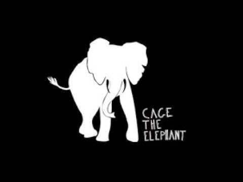 Cage The Elephant lyrics
