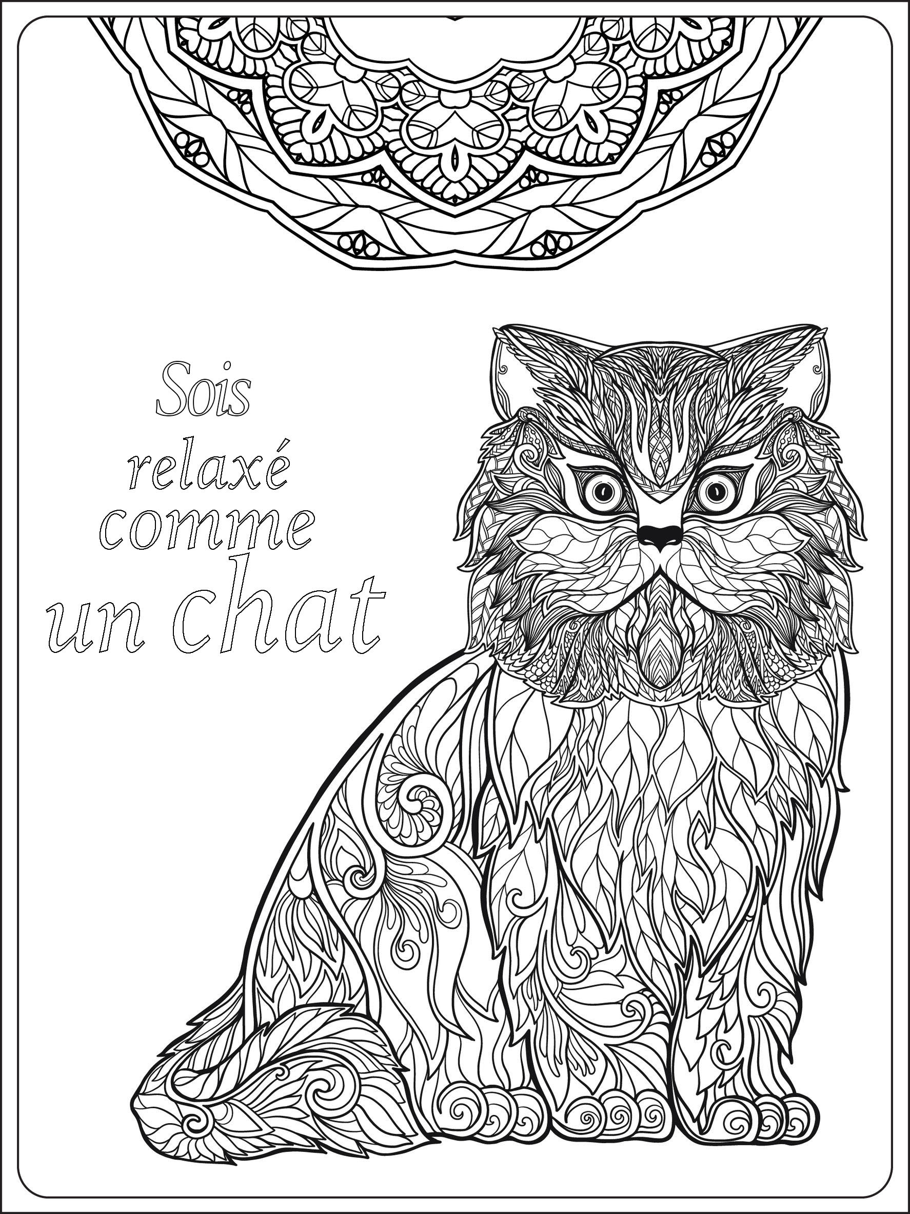 Animaux Coloriages Difficiles Pour Adultes Coloriage Adulte Soit Relax me Un Chat Par