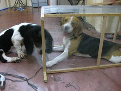 Nikka and Nadyne