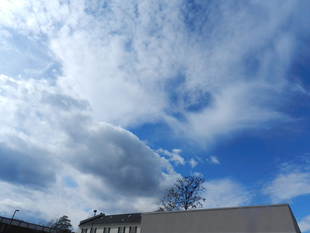 skywafDSCN2897