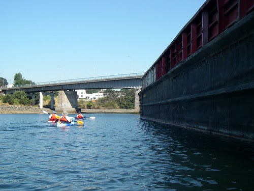 IMGP0939