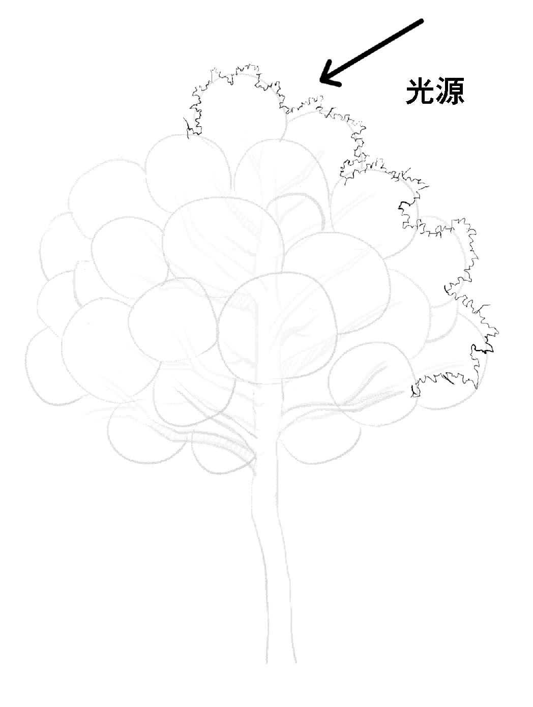 漫画背景テクニック アナログ編 木 の描き方 Oyukihan S Blog 漫 パワー充電所